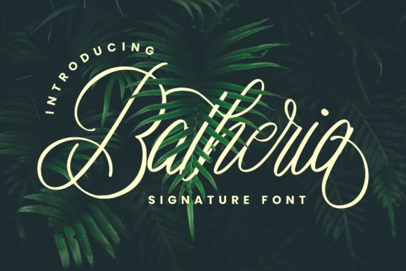 Batheria: A Refined Script Font for Modern Web Design