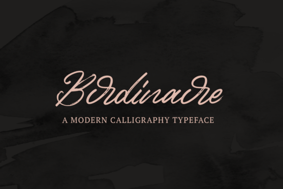 Birdinaire: A Vintage Script Font for Your Brand