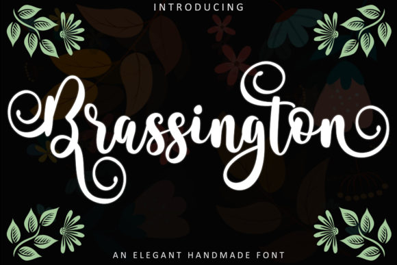 Brassington: A Delicate Script Font for Elegant Editorial Design