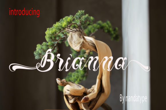Brianna: The Script Font That Elevates Digital Marketing Design