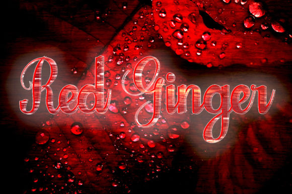 Red Ginger: A Timeless Handwritten Font for Web Design
