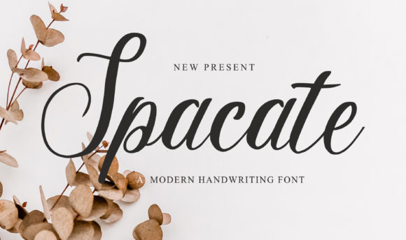 Spacate: A Script Font That Elevates Campaign Typography